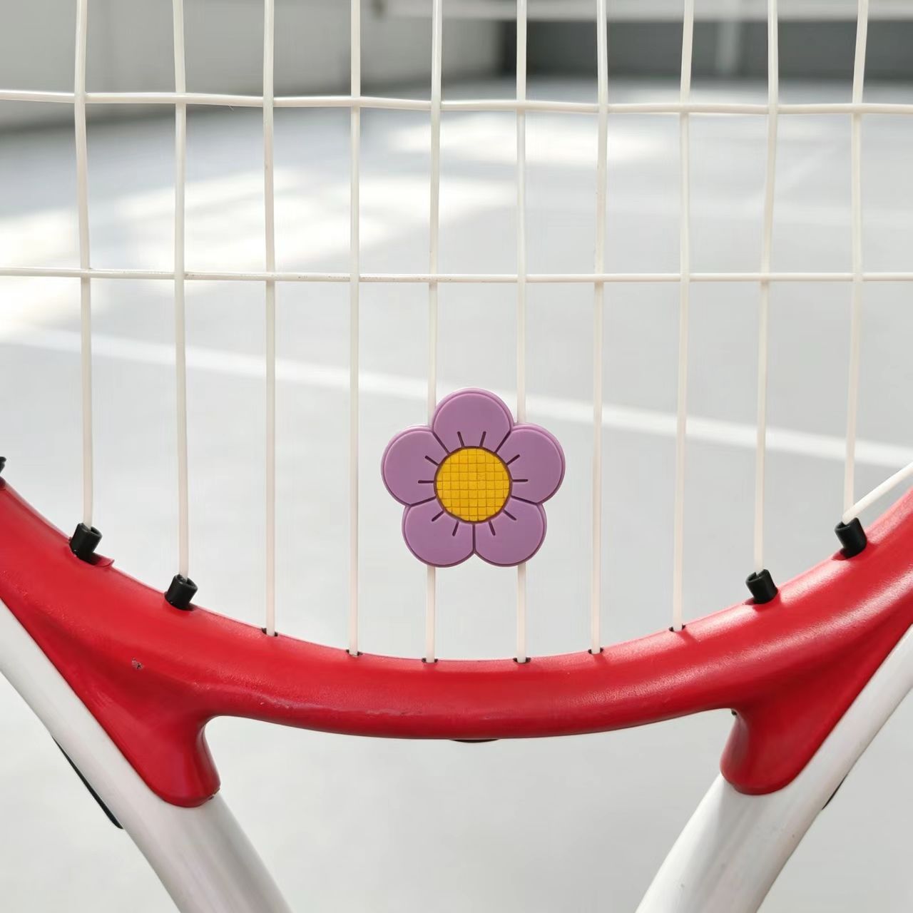 Amortiguador de Vibraciones pa - Racket Vibration Dampener reseña y precio