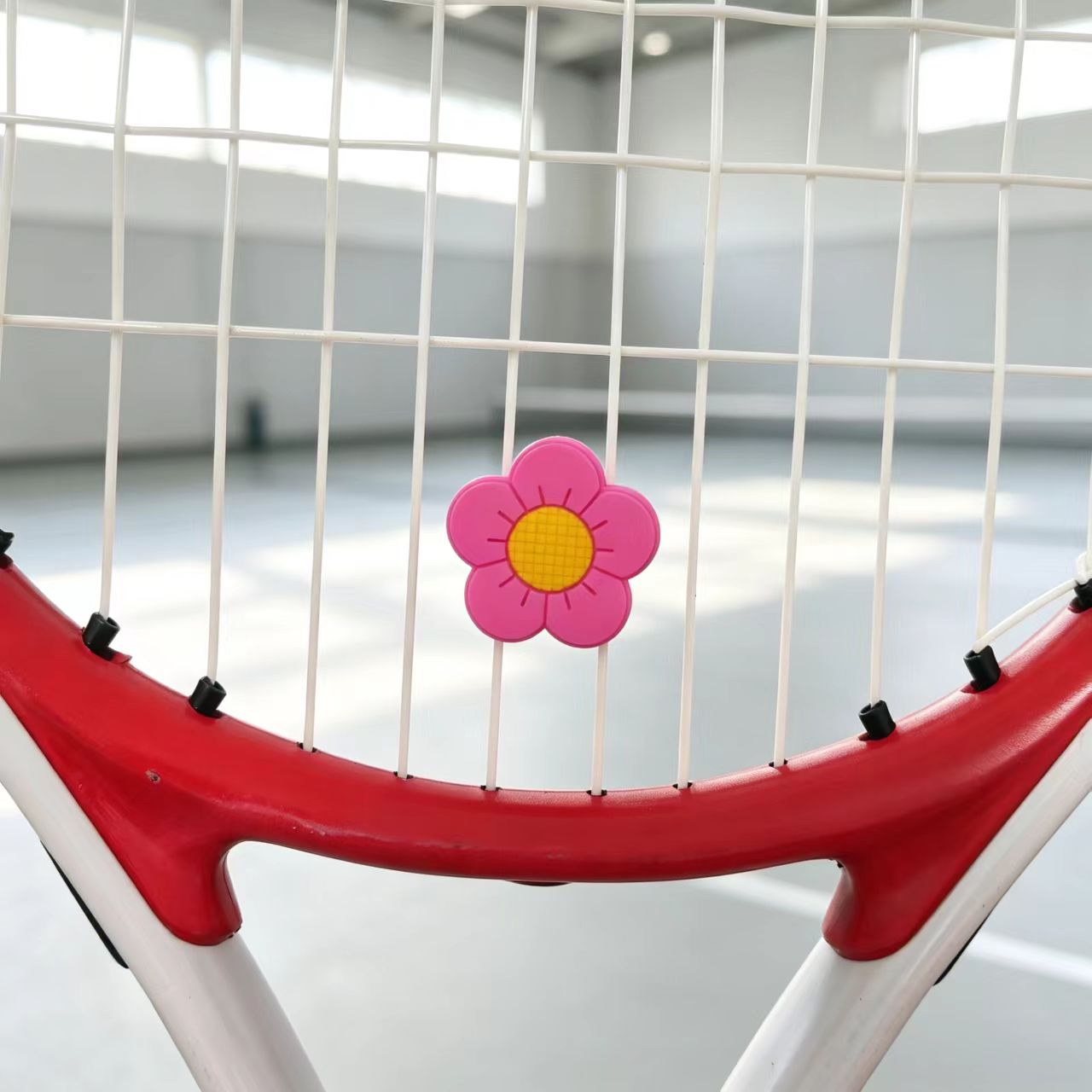 Amortiguador de Vibraciones pa - Racket Vibration Dampener reseña y precio